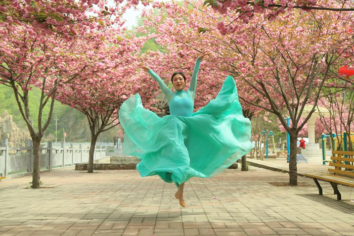 樱花儿进化顺序图_樱花儿阿尔宙斯_樱花儿