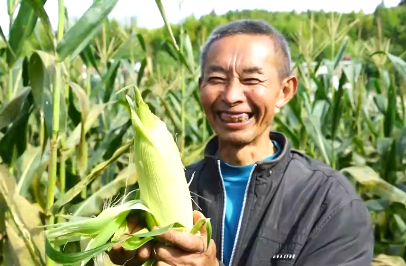 满足你生活中不可或缺的玉米视频享受