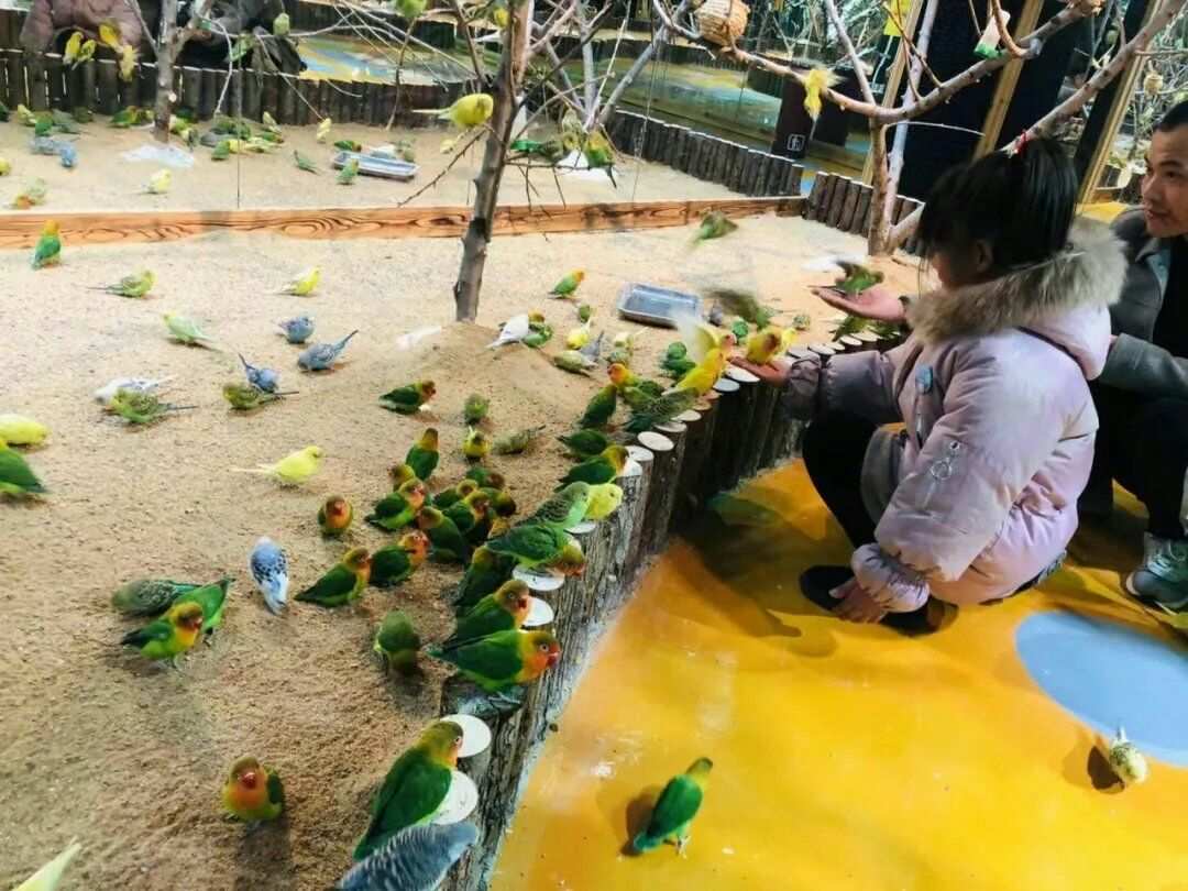 动物园大亨_动物园大亨手游_动物园大亨水族馆