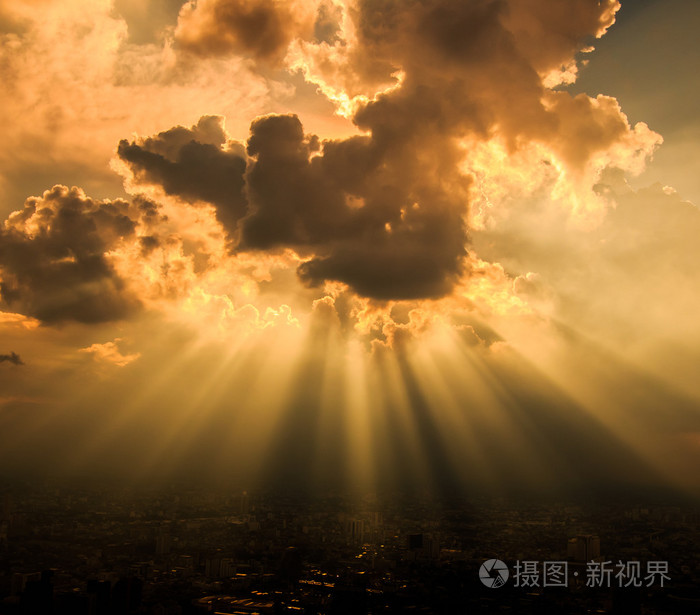 七煌_七煌电竞_七煌宝树