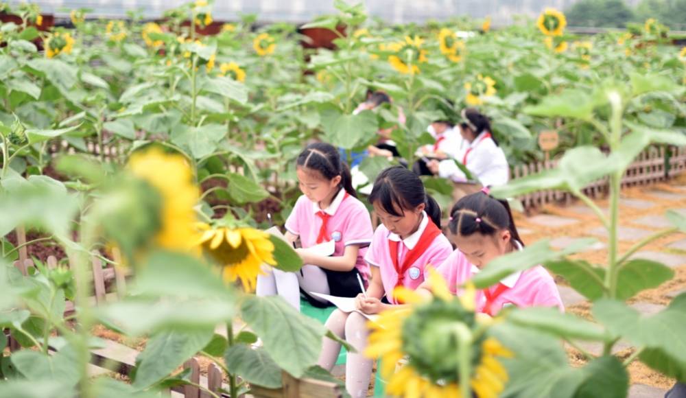 向日葵app在线看免费视频_向日葵app在线看免费视频_向日葵app在线看免费视频