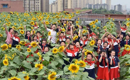 向日葵app在线看免费视频_向日葵app在线看免费视频_向日葵app在线看免费视频