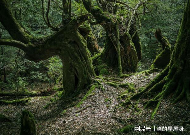 汉游_汉游天下下架了吗_汉游天下棋牌手机版