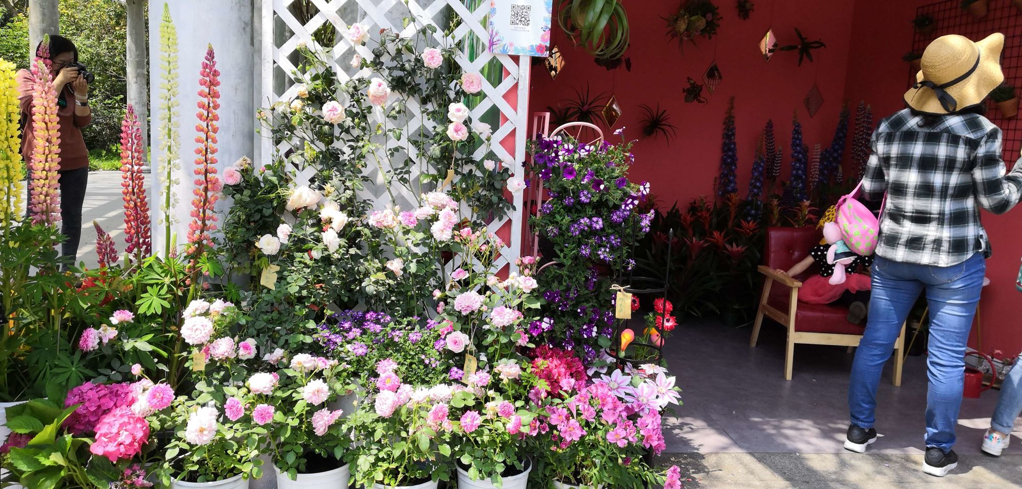 淘花_淘花谷_淘花花