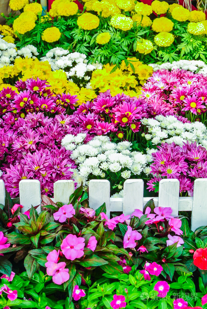 淘花_淘花花_淘花谷