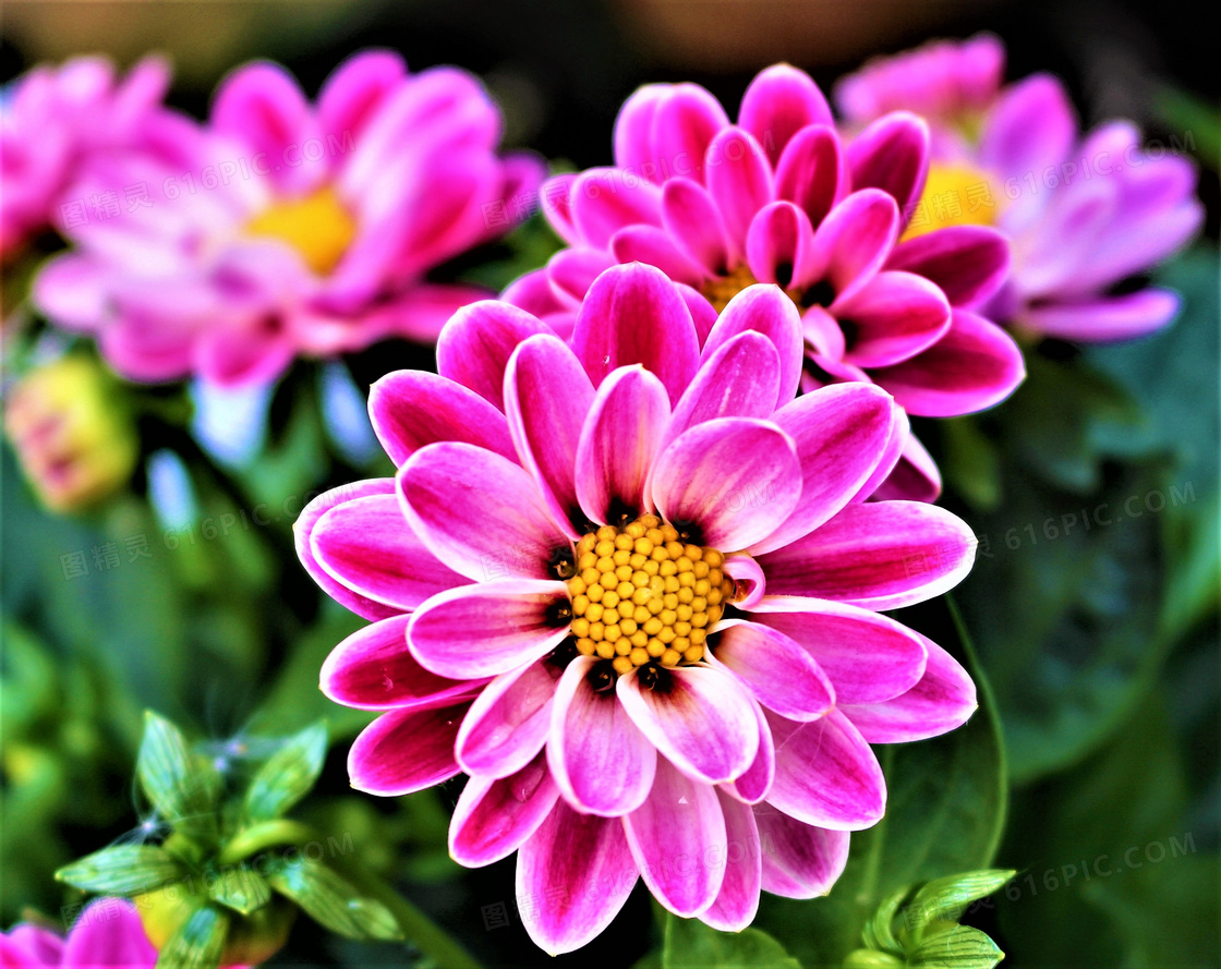 淘花花_淘花谷_淘花