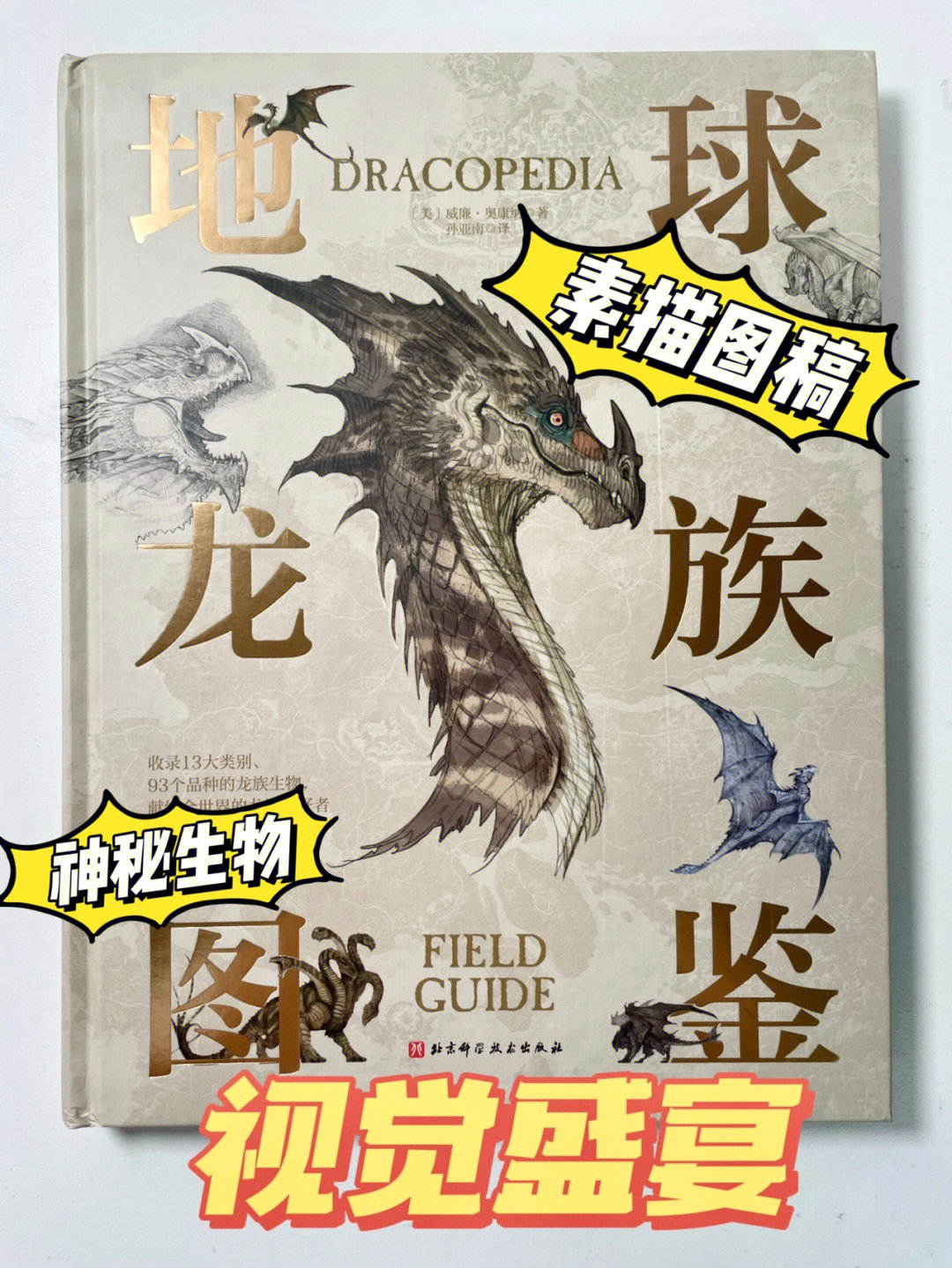 传奇龙虾_传奇龙腾家族_传奇龙