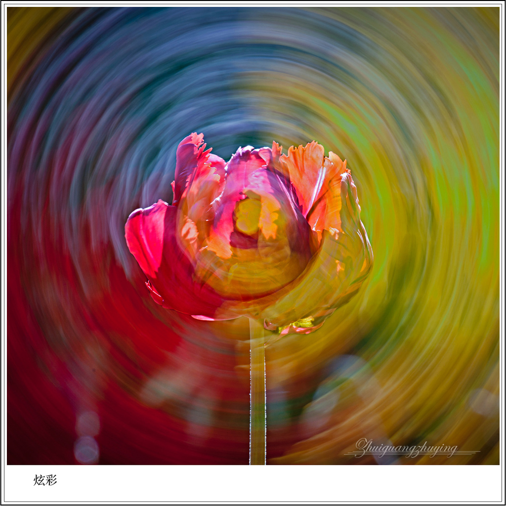轩辕剑4外传苍之涛车芸_车芸_轩辕剑外传车芸