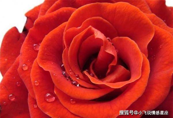 挣钱小游戏_挣钱游戏小学生_挣钱游戏小镇