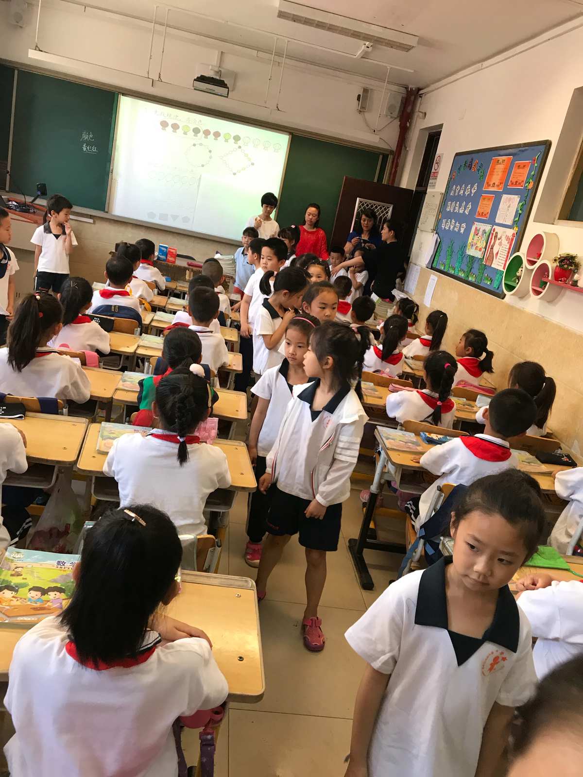秩序之光_秩序王国_秩序的意思