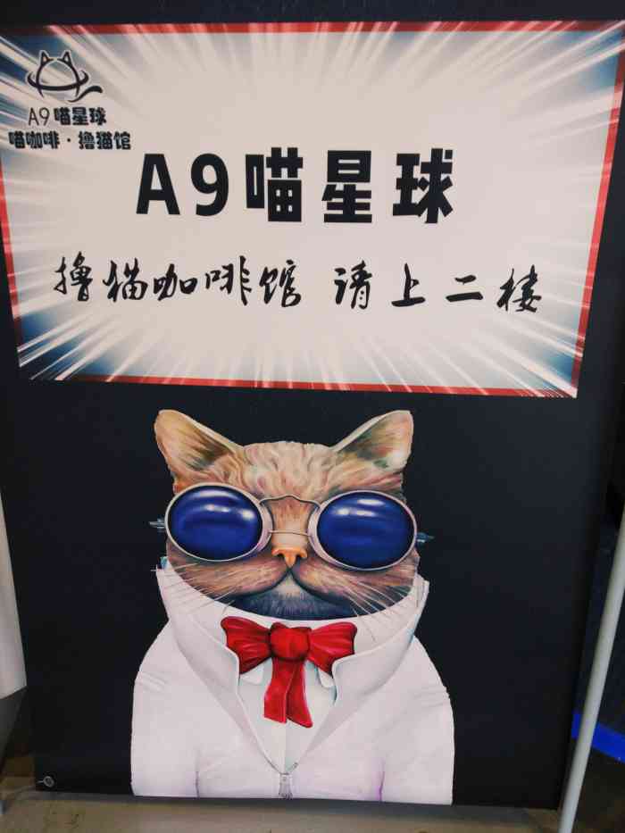 喵星大作战：猫咪狂欢，尽情战斗