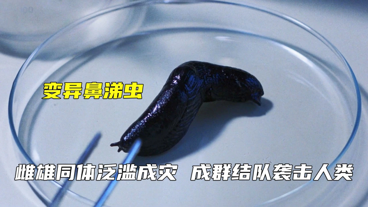 变异大虫子怎么玩_变异大虫子怎么玩_变异大虫子怎么玩