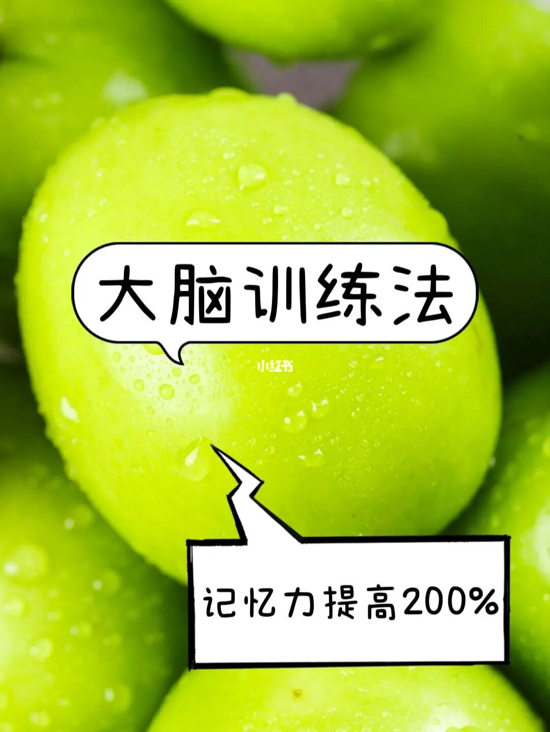记忆力大挑战app_记忆力大挑战_记忆的力量挑战