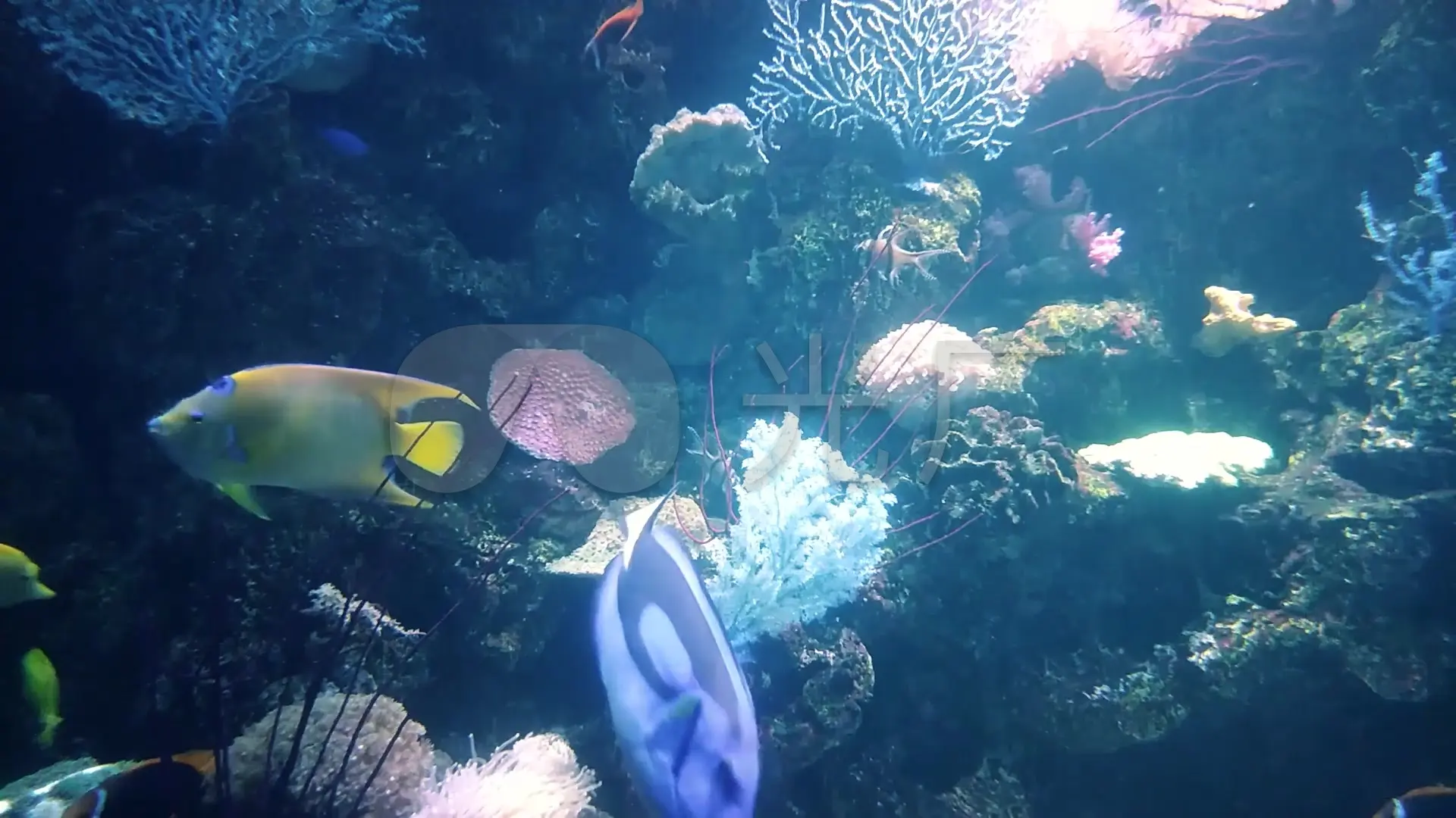 海精灵_精灵海岸养生庄园项目_精灵海滩