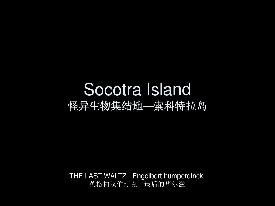 韩国手机恐怖游戏 岛在哪_韩国恐怖游戏手机版_恐怖岛下载