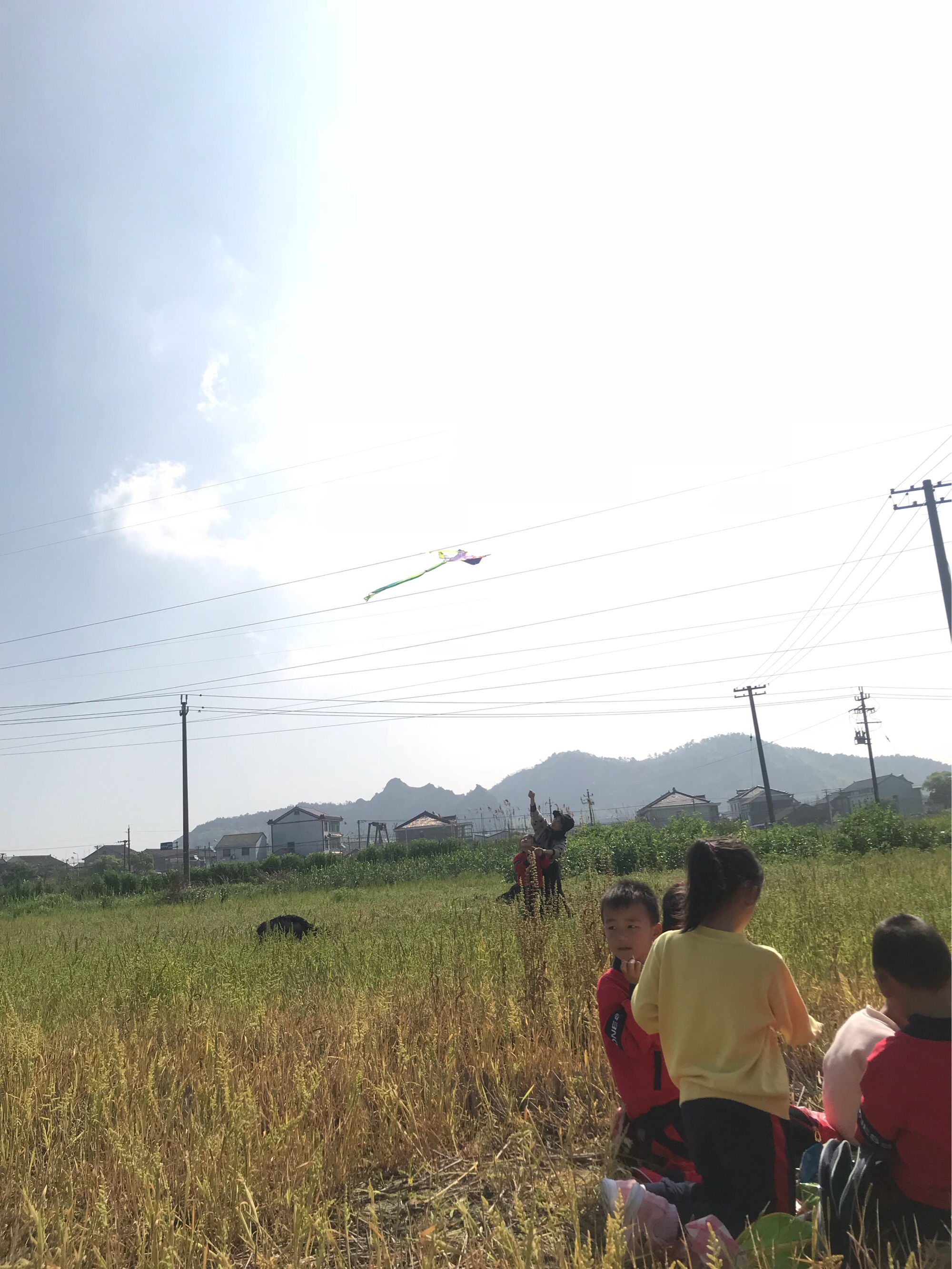 关于过年玩手机的作文_过年回家必玩手机游戏作文_寒假玩手机作文