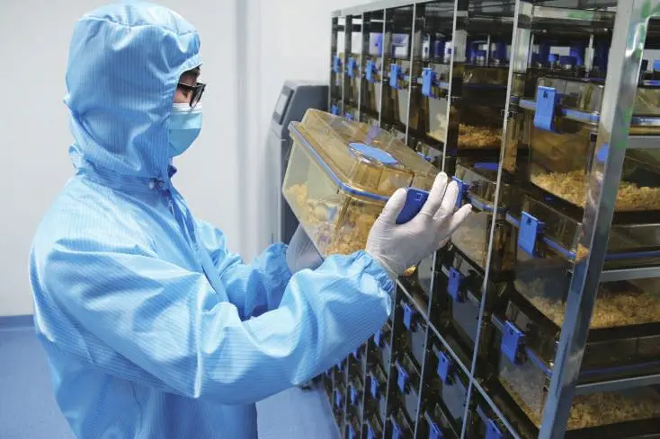 手机游戏养成类_好玩的育成游戏_育成类手机游戏