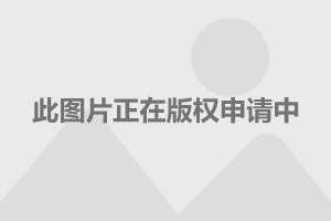 路虎app怎么不更新了_路虎发现4游戏手机版下载_路虎手机app叫什么
