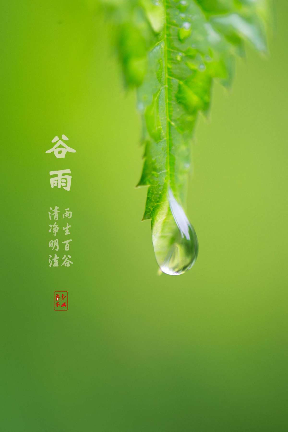 谷雨知时节下一句_谷雨知时节_谷雨时节识谷雨