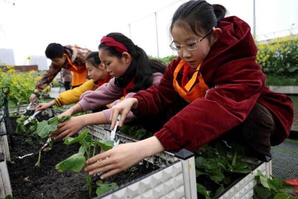 农场达人换手机游戏下载_农场达人破解版下载_农场达人内购版