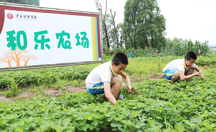 农场达人换手机游戏下载_农场达人内购版_农场达人破解版下载