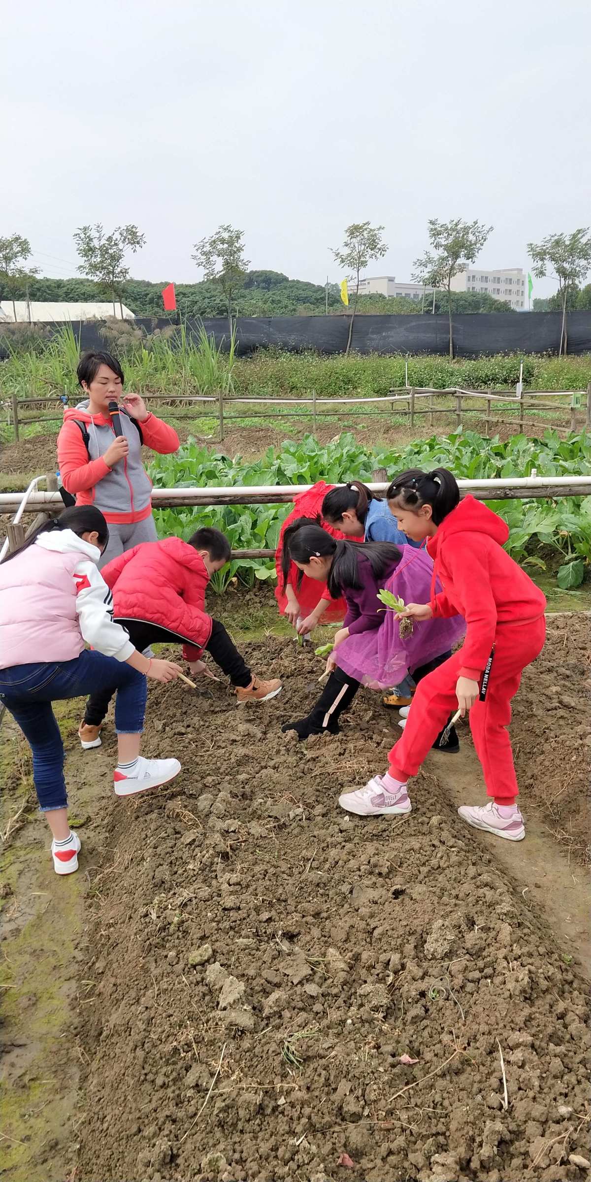 农场达人破解版下载_农场达人换手机游戏下载_农场达人内购版
