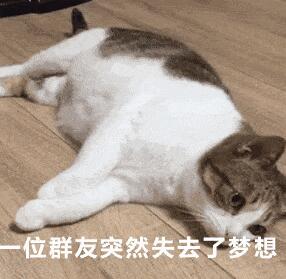 101只忠狗国语版_101只忠狗二_101真狗