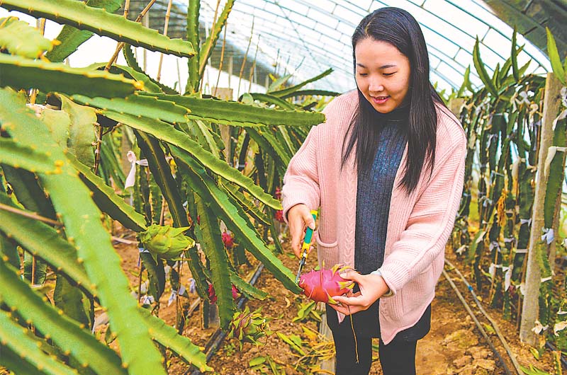 开荒种菜的手机游戏下载_种菜的手机小游戏_最新种菜游戏