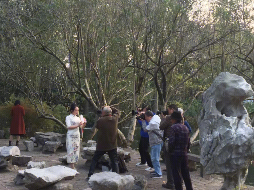怪力老头手机游戏_打怪老头游戏_老头力怪手机游戏