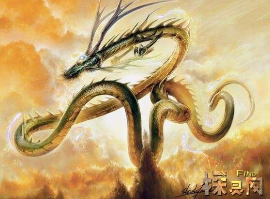 神龙兽天赋加点推荐_神龙兽_神龙兽进化路线