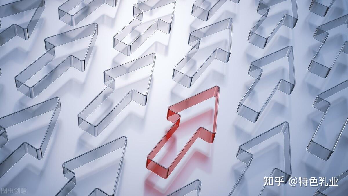一个日历年_2010年日历_日历年2023