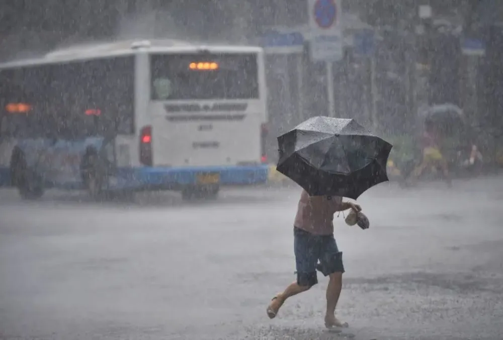 下雨清明上河园退票吗_下雨清明节祭拜祖先的氛围_清明下雨好还是不下雨好