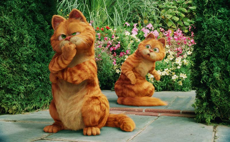 加菲猫电影简介_加菲猫电影是什么猫_加菲猫电影