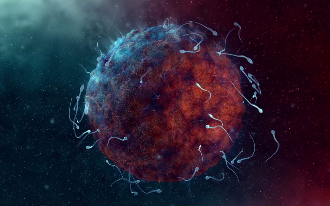 精子战争手机游戏_精子战争手机游戏_精子战争手机游戏