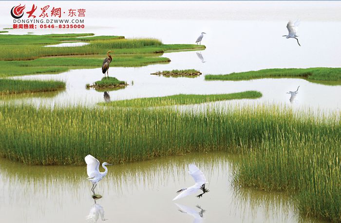 河图歌：神秘力量背后的自然共鸣与情感触动