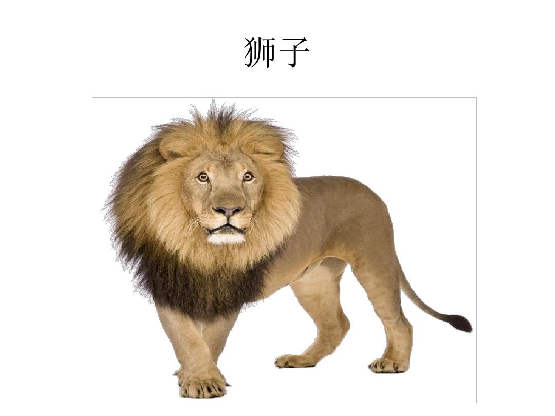 卡片手游哪个好玩_卡牌的手机游戏_卡片手机的游戏