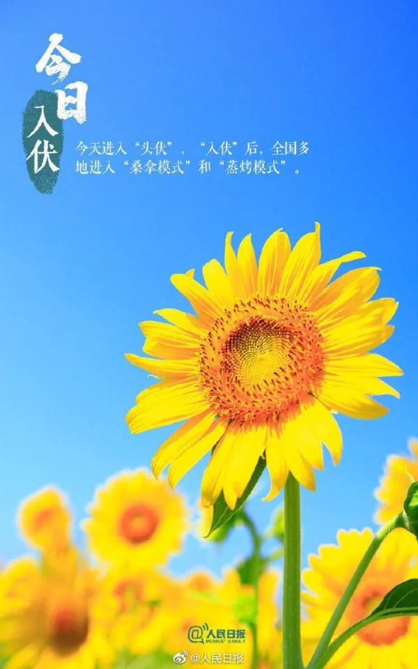 三伏天在什么时候今年_三伏天从什么时候开始今年_2023年三伏天从什么时候开始