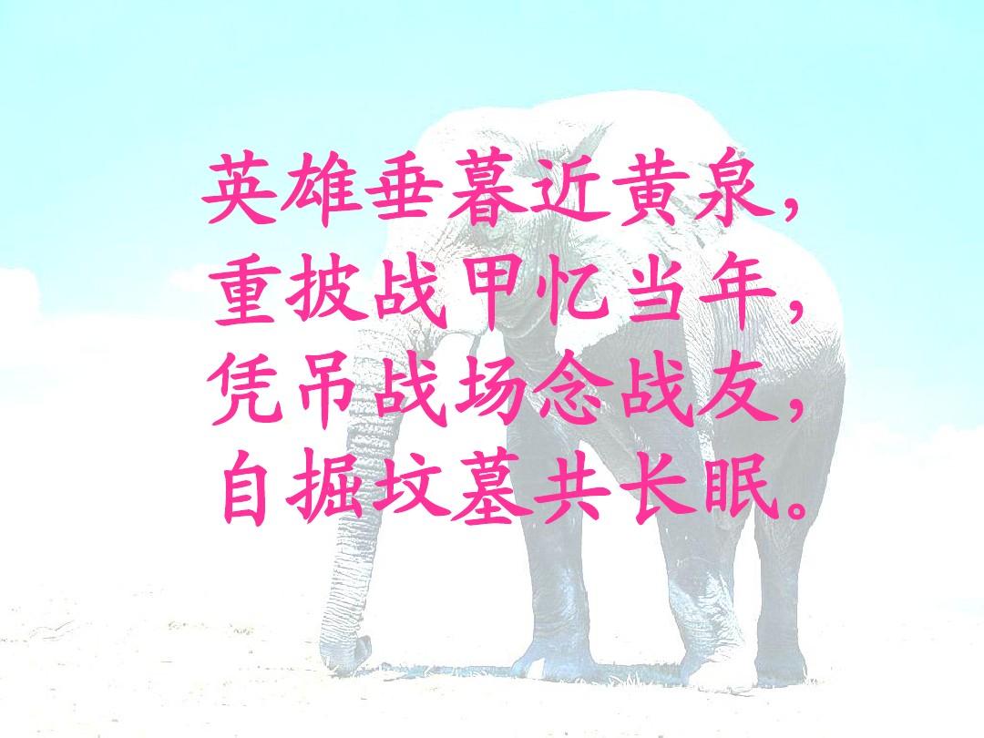 2021长津湖战役在线观看_长津湖战役电视_长津湖战役2免费观看