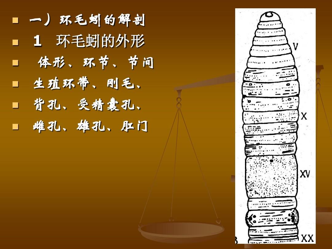 axios文件上传_上传文件怎么上传_上传文件超过限制大小怎么办