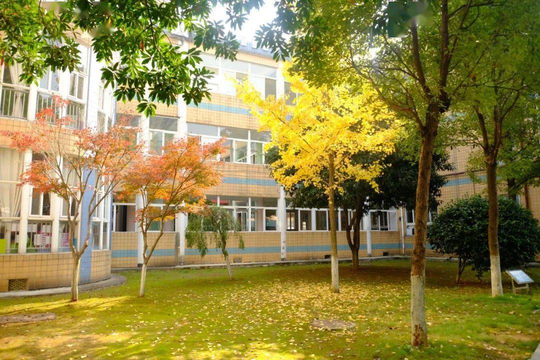 课堂捣乱游戏叫什么_课堂捣蛋鬼_课堂捣蛋手机游戏