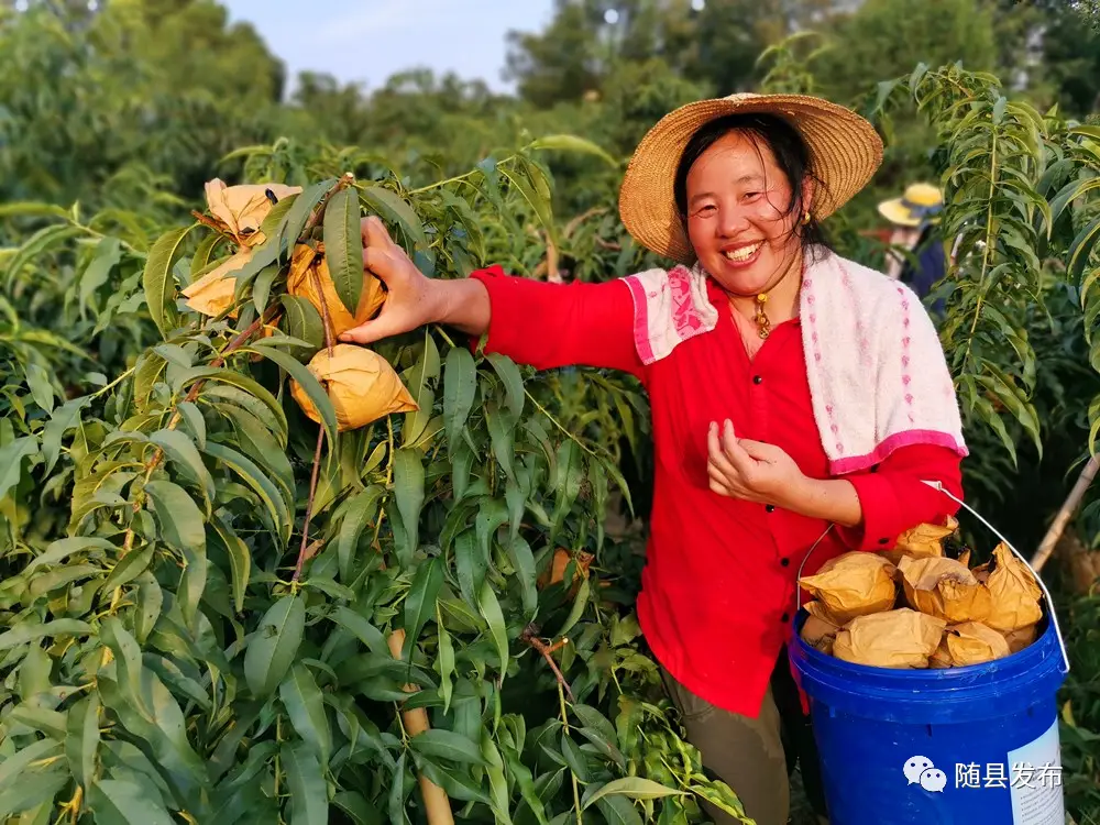 开心农场手机版游戏下载_小游戏开心农场_游戏开心农场游戏大全