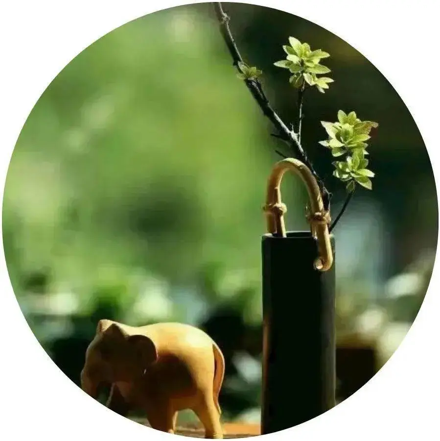 塞德里克·迪戈里_塞德里克迪戈里图片_塞德里克迪戈里是纯血吗
