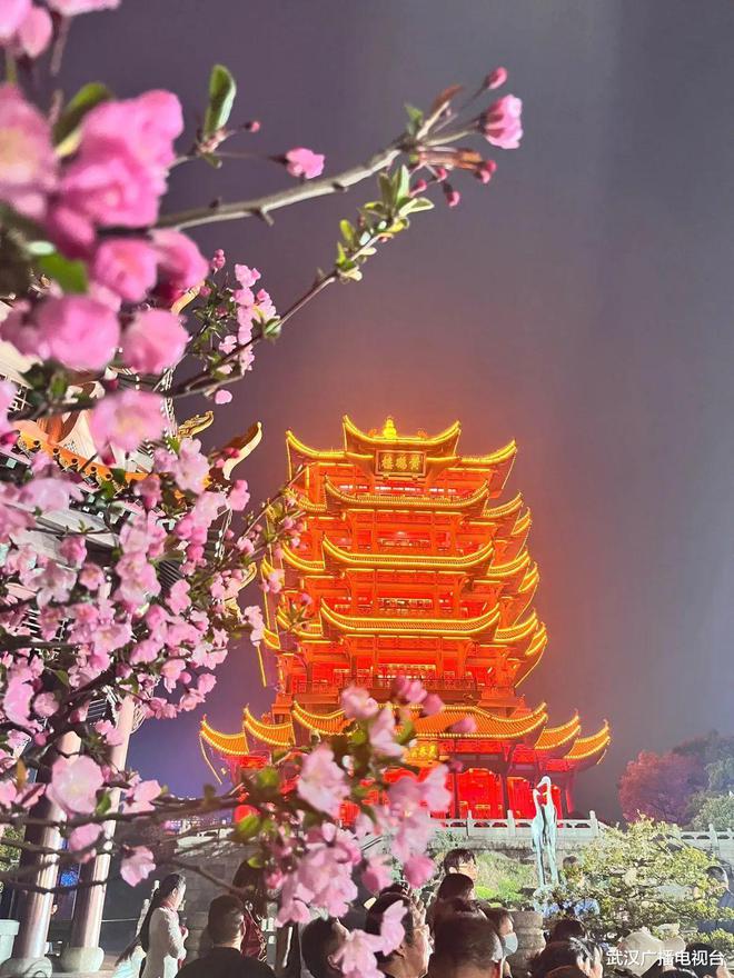洛神花手机游戏能玩吗_洛神花手机游戏_洛神花十大搭配