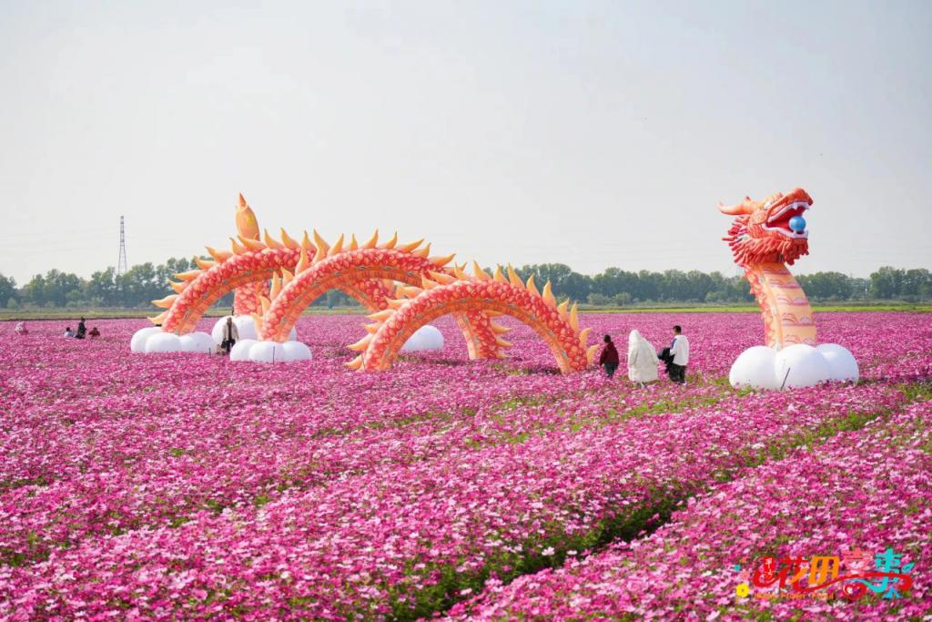 花田游戏手机版_花田游戏玩法_花田游戏
