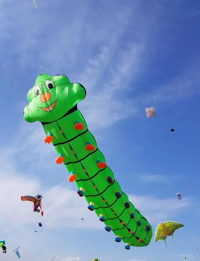云鹤追_云鹤追cv_云鹤追