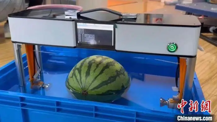 瓜类造型视频教程_瓜王酷宝游戏_造型瓜手机游戏