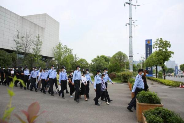 危险藏匿_危险藏匿结局什么意思_危险藏匿剧情解析