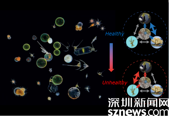 国外手游盒子_老外玩过的手机游戏盒子_玩盒子的外国人