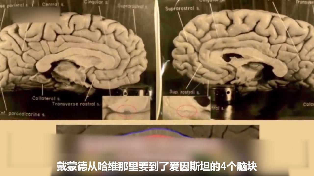 绝密档案_档案绝密机密秘密_档案绝密是什么意思