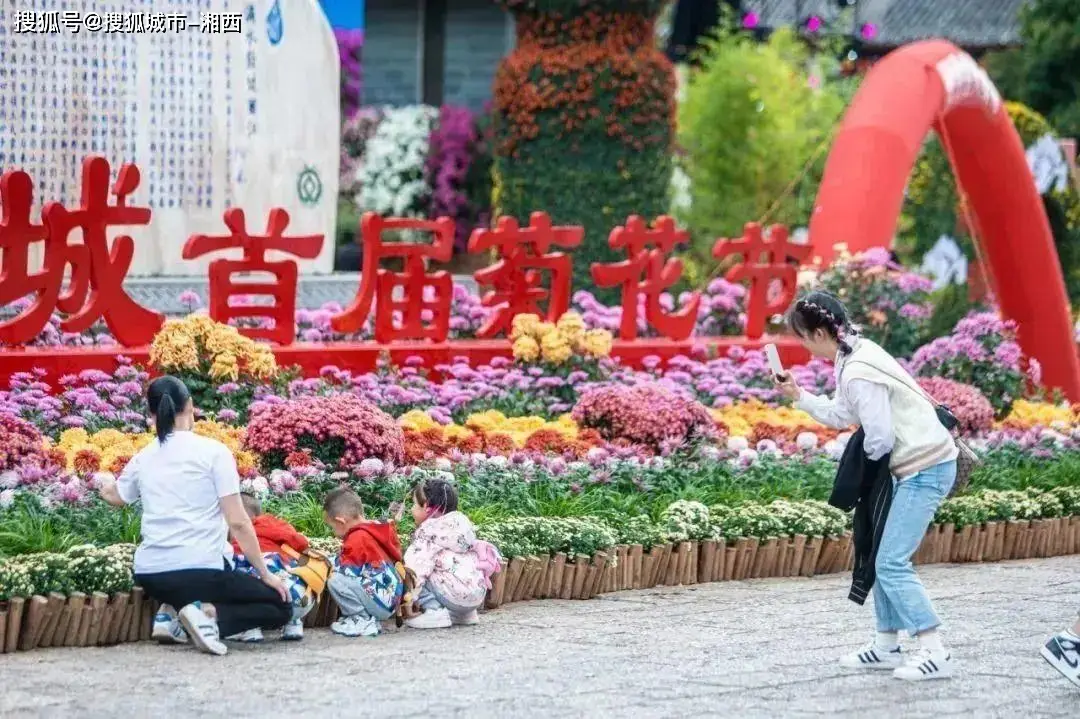 可以改车的单机游戏_好玩的单机改车游戏手机版_单机改装车游戏